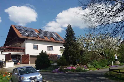 Ferienwohnung mit Aussenpool