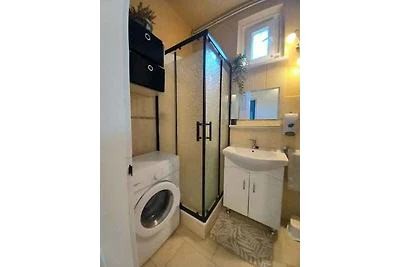 Ferienhaus mit Pool und Internet