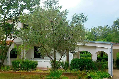 Ferienwohnung Mit Klimaanlage