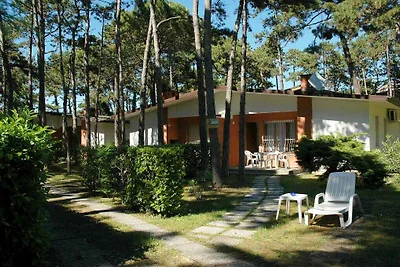 Ferienwohnung mit Terrasse