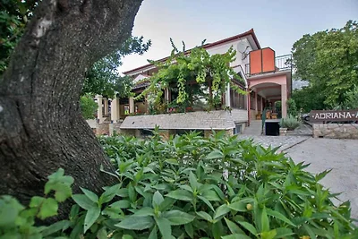 Vakantieappartement Gezinsvakantie Starigrad