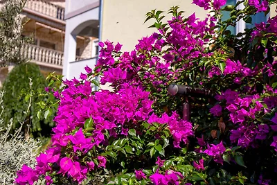 Ferienwohnung mit Balkon und Klimaanlage