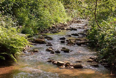 Ferienwohnung in naturbelassener Umgebung