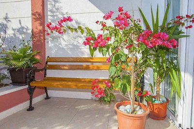 Ferienwohnung mit Terrasse und Meerblick