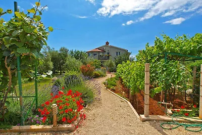 Ferienwohnung mit Klimaanlage