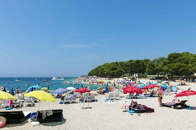 Ferienwohnung Ferienwohnungen mit Internet un