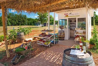 Vakantiehuis Ontspannende vakantie Umag