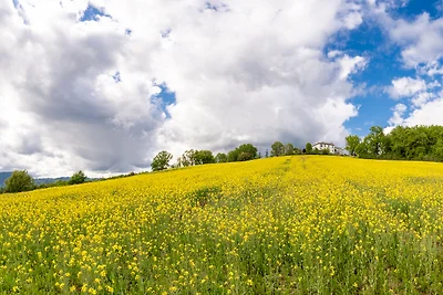 Ferienwohnung mit Klimaanlage