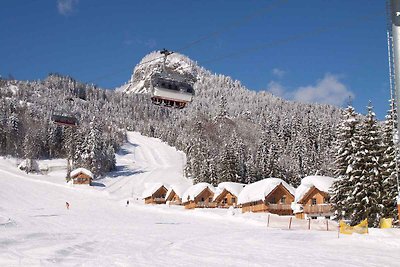 Vakantiehuis Ontspannende vakantie Altaussee