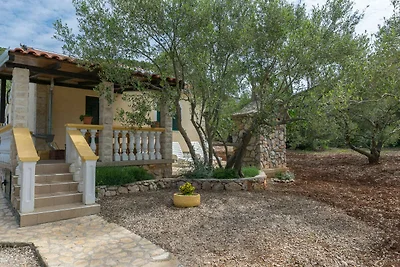 Ferienhaus mit Terrasse und Internet