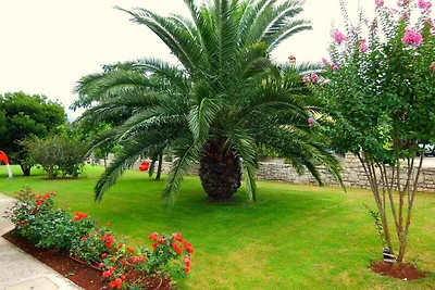 Vakantieappartement Gezinsvakantie Zambratija