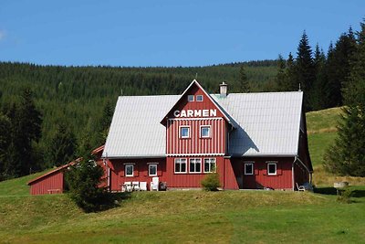 Ferienhaus mit Garten und Grill