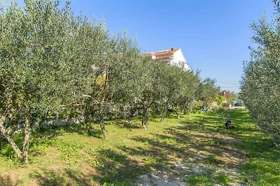 Ferienwohnung mit Balkon und Grill