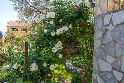 Vakantieappartement Gezinsvakantie Crikvenica
