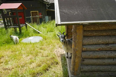 Mobilehome mit Klimaanlage, Terrasse und Pool