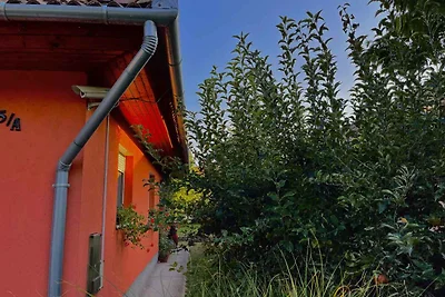 Vakantiehuis Ontspannende vakantie Balatonbereny