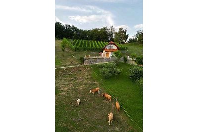 Ferienhaus auf dem Weinberghügel in der Nähe 