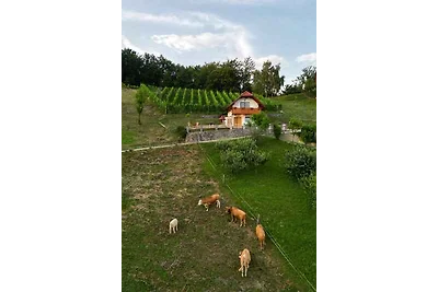 Ferienhaus auf dem Weinberghügel in der Nähe 