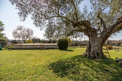 Appartamento Vacanza con famiglia Rovigno