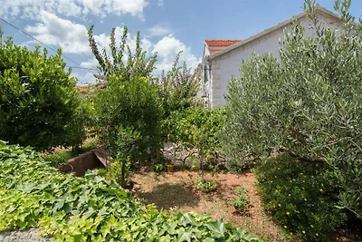 Appartamento Vacanza con famiglia Supetarska Draga