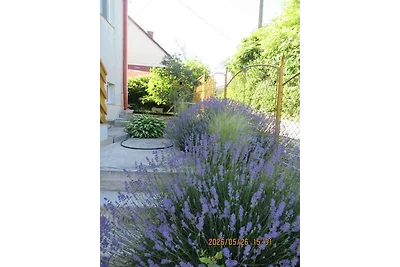 Casa vacanze Vacanza di relax Csopak