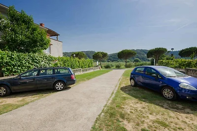 Komfortable Ferienwohnung Borka in Lopar auf 