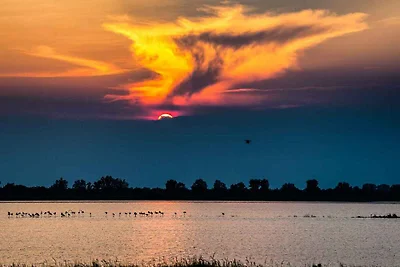 Appartamento Vacanza con famiglia Rosolina