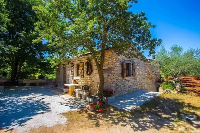 Ferienhaus umgeben von Olivenhainen