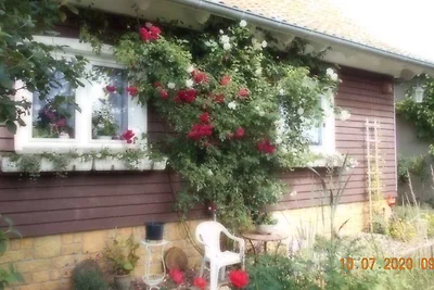 Ferienwohnung in Dankerode im Harz