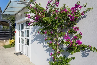 Ferienwohnung mit Klimaanlage und Meerblick