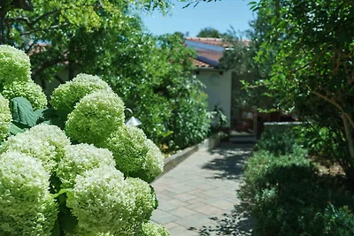 Vakantieappartement Gezinsvakantie Vodice