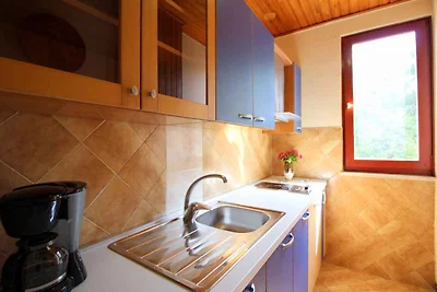 Ferienwohnung mit Terrasse und Internet