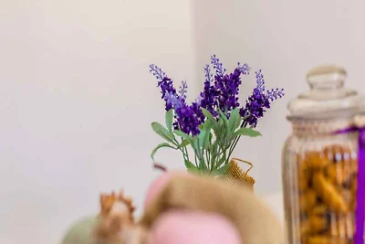 Ferienwohnung mit wunderschönen Meerblick