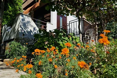 Vakantieappartement Gezinsvakantie Marceljani