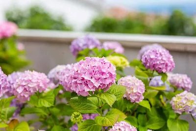 Ferienhaus in idyllischer Lage, mit schöner