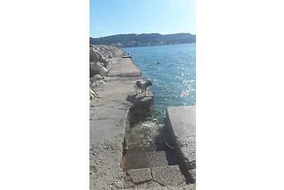 Ferienwohnung mit Klimaanlage