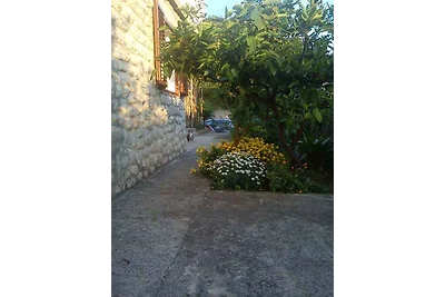 Ferienwohnung mit Terrasse und Internetzugang