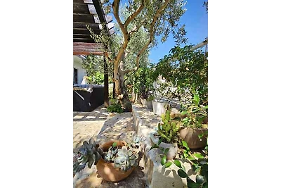 Gemütliche Unterkunft Marijana in Vodice mit 