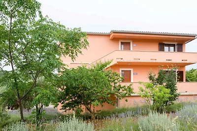 Ferienwohnung nur 50 m zur Adria