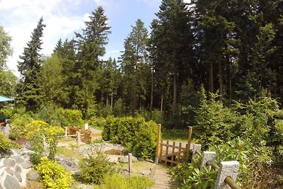 Appartamento Vacanza con famiglia Winterberg