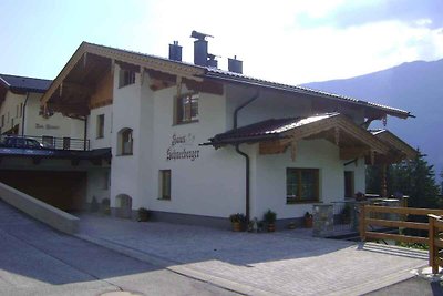 Ferienwohnung mit Terrasse im Skigebiet