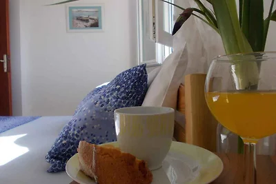 Vakantiehuis Ontspannende vakantie Primosten