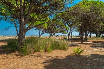 Appartamento Vacanza con famiglia Budoni