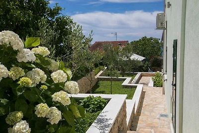 Komfortable Villa Marina mit privatem Pool un