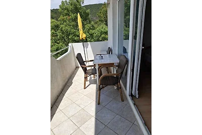 Appartamento Vacanza con famiglia Crikvenica