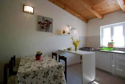 Ferienhaus mit Garten und Grill