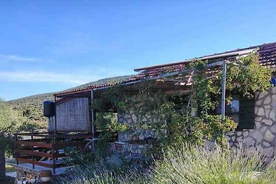 Ferienhaus mit Garten