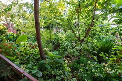 Ferienwohnung mit Klimaanlage, Internet und