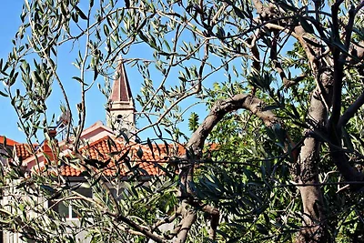 Ferienwohnung mit Klimaanlage