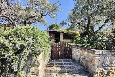 Ferienwohnung mit Pool und Terrasse